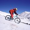 S24109 Elecony 24 Inch Fat Tire Bike Adult/Youth Full Shimano 7 Speeds Mountain Bike, Dual Disc Brake, High-Carbon Steel Frame, Front Suspension